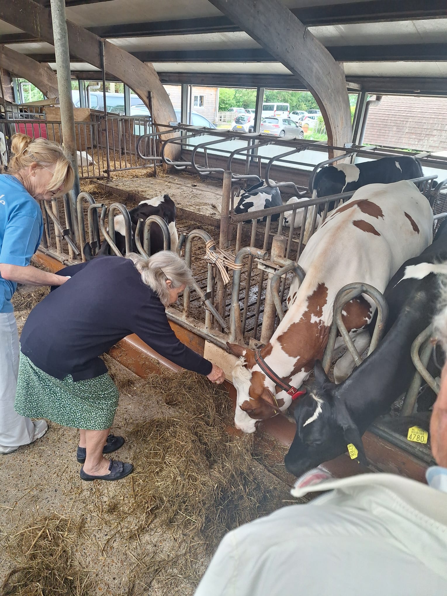 Praktische informatie Cursusweek Beter Thuis met Dementie